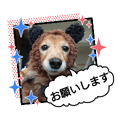 [LINEスタンプ] めりんぷ②