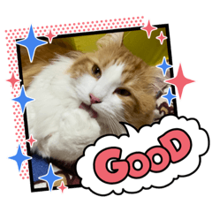 [LINEスタンプ] メイ スタンプ 第3弾