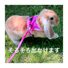 [LINEスタンプ] ちゃちゃスタ①