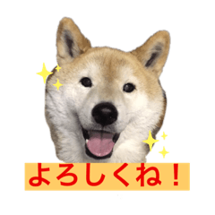 [LINEスタンプ] 梅吉くん 壱ノ巻