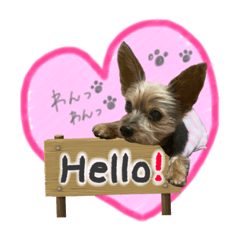[LINEスタンプ] はなちゃん2U^ェ^U