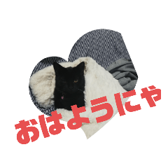 [LINEスタンプ] 黒猫姉妹ローズ＆サクラの日常挨拶