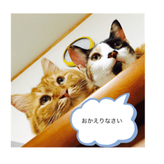 [LINEスタンプ] ラブリーわんにゃん