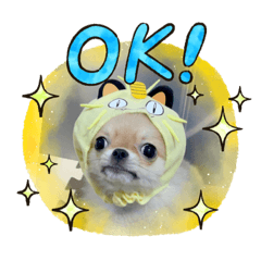 [LINEスタンプ] ポメチワのベイちゃん