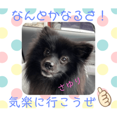 [LINEスタンプ] テンシン⑤