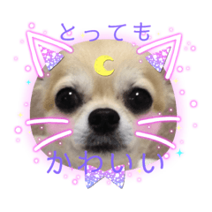 [LINEスタンプ] イザベラフォーンのベルのスタンプ