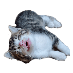 [LINEスタンプ] I Love 猫
