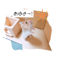 [LINEスタンプ] ハムスターのまり(2)