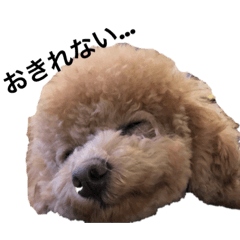 [LINEスタンプ] むーすか