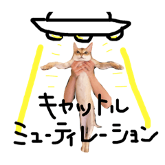 [LINEスタンプ] そちゃんぷ