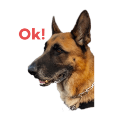 [LINEスタンプ] Duke the GSD