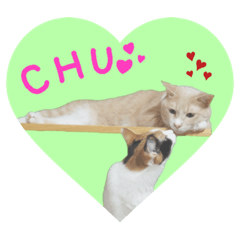 [LINEスタンプ] 猫の寅次郎とさくら 2021 初夏