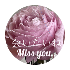 [LINEスタンプ] 日本語と英語のご挨拶を薔薇や緑と共に