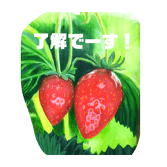 [LINEスタンプ] ヒデちゃんでーす！