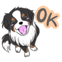 [LINEスタンプ] 預かり犬バーニーズ Tacos君との日常