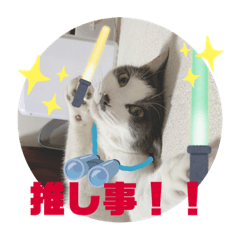 [LINEスタンプ] 推し活エルくん＆ハムくん