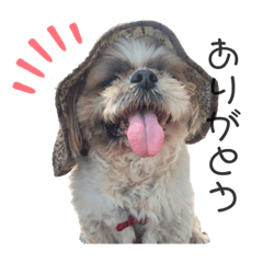[LINEスタンプ] とうがさきけ