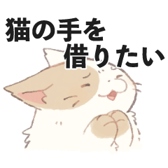 [LINEスタンプ] ダイエットねこくん