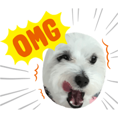 [LINEスタンプ] BIGリンちゃんスタンプ