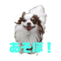 [LINEスタンプ] きんきーん