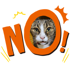 [LINEスタンプ] みーとろだいすき