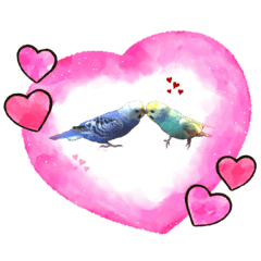[LINEスタンプ] 愛しのインコ ver.1