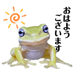 [LINEスタンプ] カエルの会話