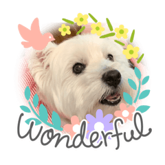 [LINEスタンプ] ♡ウエスティりりぃ♡