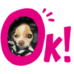 [LINEスタンプ] あべたたたたた