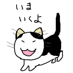 [LINEスタンプ] ハチワレ猫（いまいくよ）