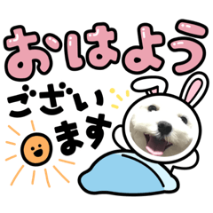 [LINEスタンプ] ワンちゃんスタンプ〜