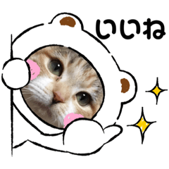 [LINEスタンプ] 三毛猫ももちゃん15