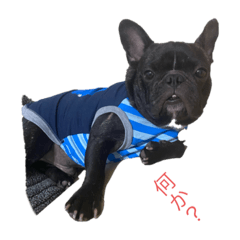 [LINEスタンプ] フレブルマックス2