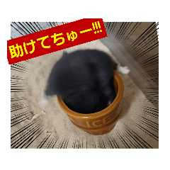 [LINEスタンプ] ハムスタンプ Ver．1