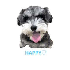 [LINEスタンプ] イトです！
