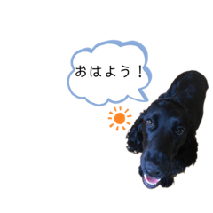 [LINEスタンプ] 表情豊かなエマちゃんの日常