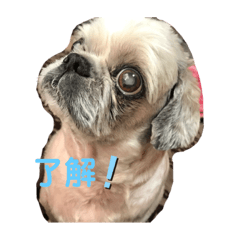 [LINEスタンプ] らまえたち