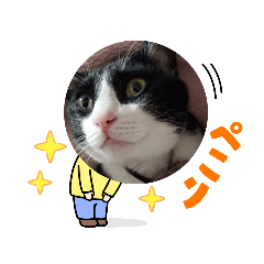 [LINEスタンプ] 愛ネコあいさつでかもじありスタンプ