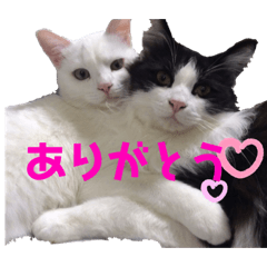 [LINEスタンプ] 小梅と小鉄。ときどき…