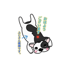 [LINEスタンプ] ふじさん模様のあるフレンチブル、ぷく。