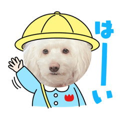 [LINEスタンプ] こんにちは！りくです！2