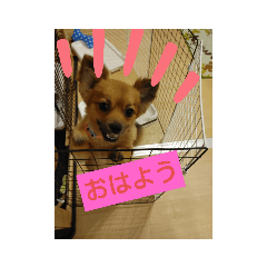 [LINEスタンプ] りんこうすたんぷ