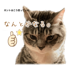 [LINEスタンプ] りつの「ホントはこう思っている。」