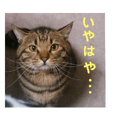 [LINEスタンプ] ぴのさんとE3