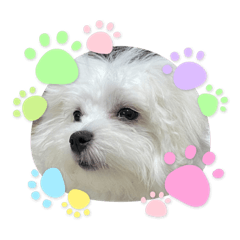 [LINEスタンプ] くららです❣️