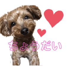 [LINEスタンプ] モーちん