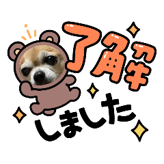 [LINEスタンプ] ここまめスタンプ