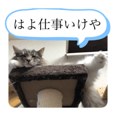 [LINEスタンプ] わらびとしらん2