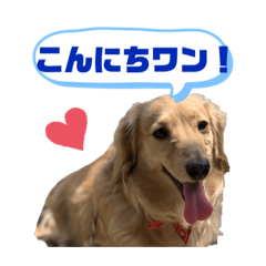 [LINEスタンプ] みるちゃん②