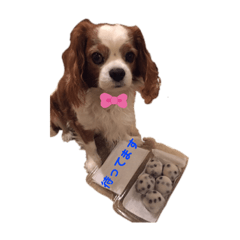 [LINEスタンプ] babychoco2